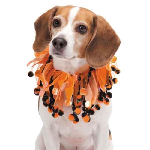 Aria Halloween Scrunchy-Pompom Party Dog Collar