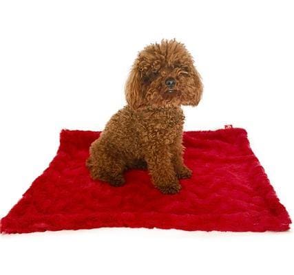 Bella Red Dog Blanket