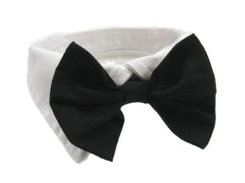 Dog Collar and Bow Tie Set