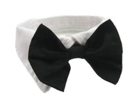 Thumbnail for Dog Collar and Bow Tie Set