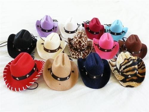 Cowboy Dog Hat