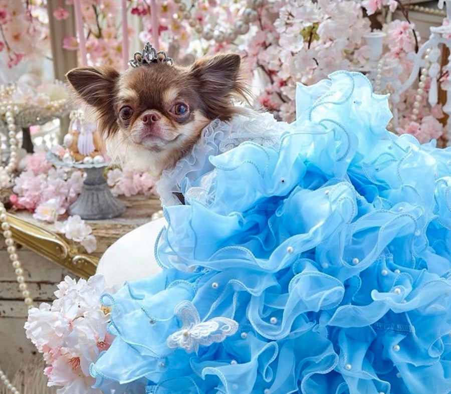 Handmade Sky Butterfly Princess Dog Dress – Luxury Blue Ruffle