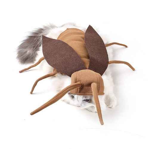 Cockroach Pet Costume