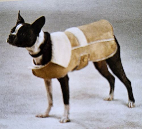 Faux Suede Dog Coat