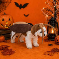 Thumbnail for Cockroach Pet Costume