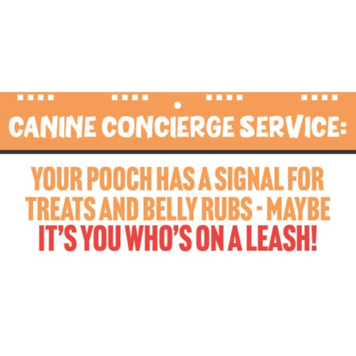 A promotional graphic with an orange banner reading 'CANINE CONCIERGE SERVICE:' and bold text below saying 'YOUR POOCH HAS A SIGNAL FOR TREATS AND BELLY RUBS - MAYBE IT'S YOU WHO'S ON A LEASH!' on a white background.