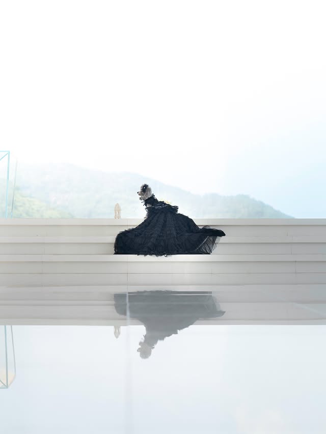 Black Dog Dress with Detachable Train
