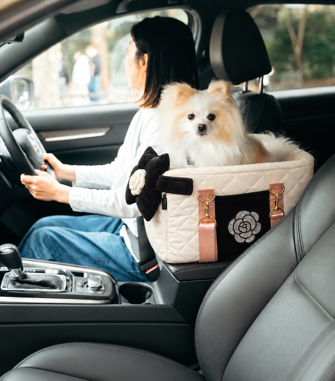 2-in-1 Pet Car Seat & Carrier