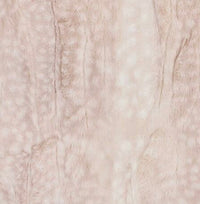 Thumbnail for Blanket, Fawn Rosewater