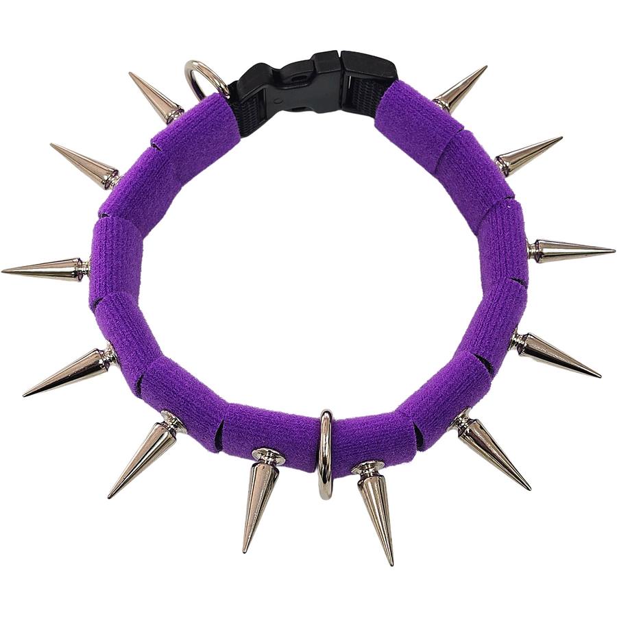 CoyoteCollar