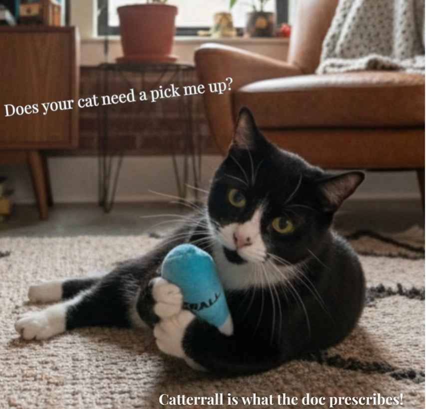 Catterall Catnip Kickers