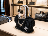 Thumbnail for Black Lace Pet Carrier Basket