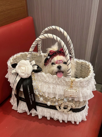 Thumbnail for Black and White Lace Pet Carrier Basket