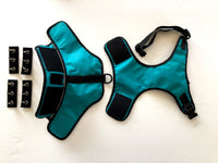 Thumbnail for SpikeHarness