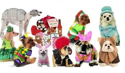 Holiday Pet Clothes, Costumes and Accessories