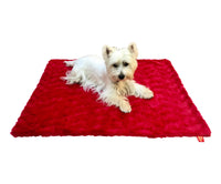 Thumbnail for Blanket, Bella Red