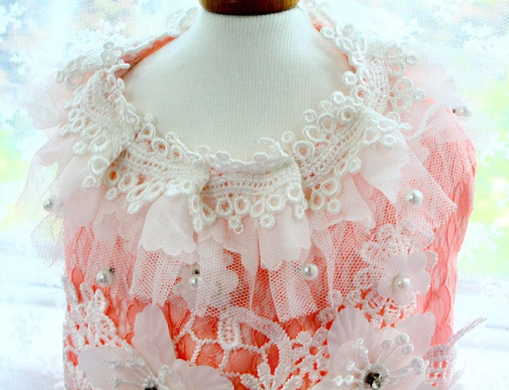 Blush Sakura Princess Dog Dress – Luxury Pink Floral