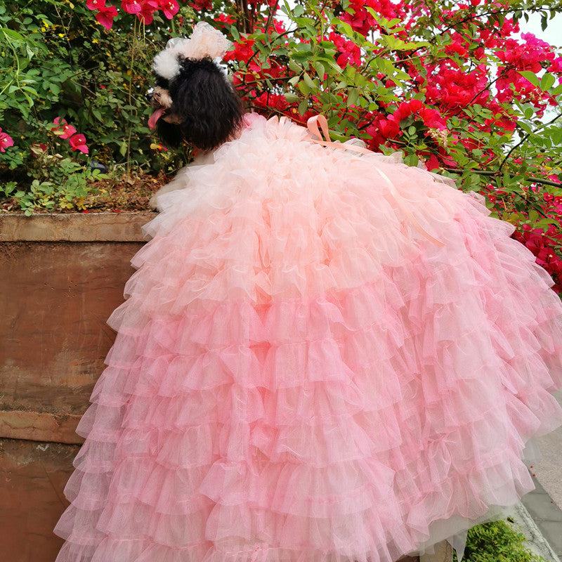 Blush Pink Princess Dog Dress with Ombre Tulle Train
