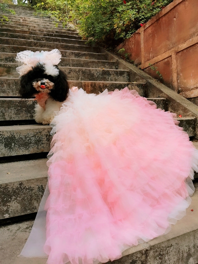 Blush Pink Princess Dog Dress with Ombre Tulle Train