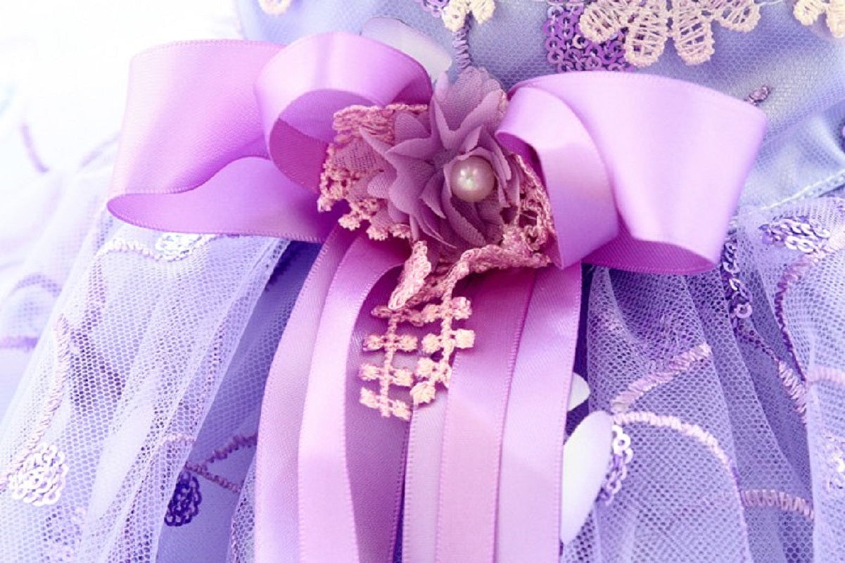 Luxury Purple Princess Dog Dress Floral Lace Tulle