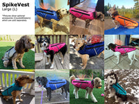 Thumbnail for SpikeVest
