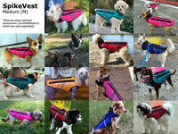 Thumbnail for SpikeVest