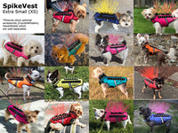 Thumbnail for SpikeVest
