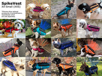 Thumbnail for SpikeVest