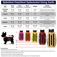 Thumbnail for HawkVest