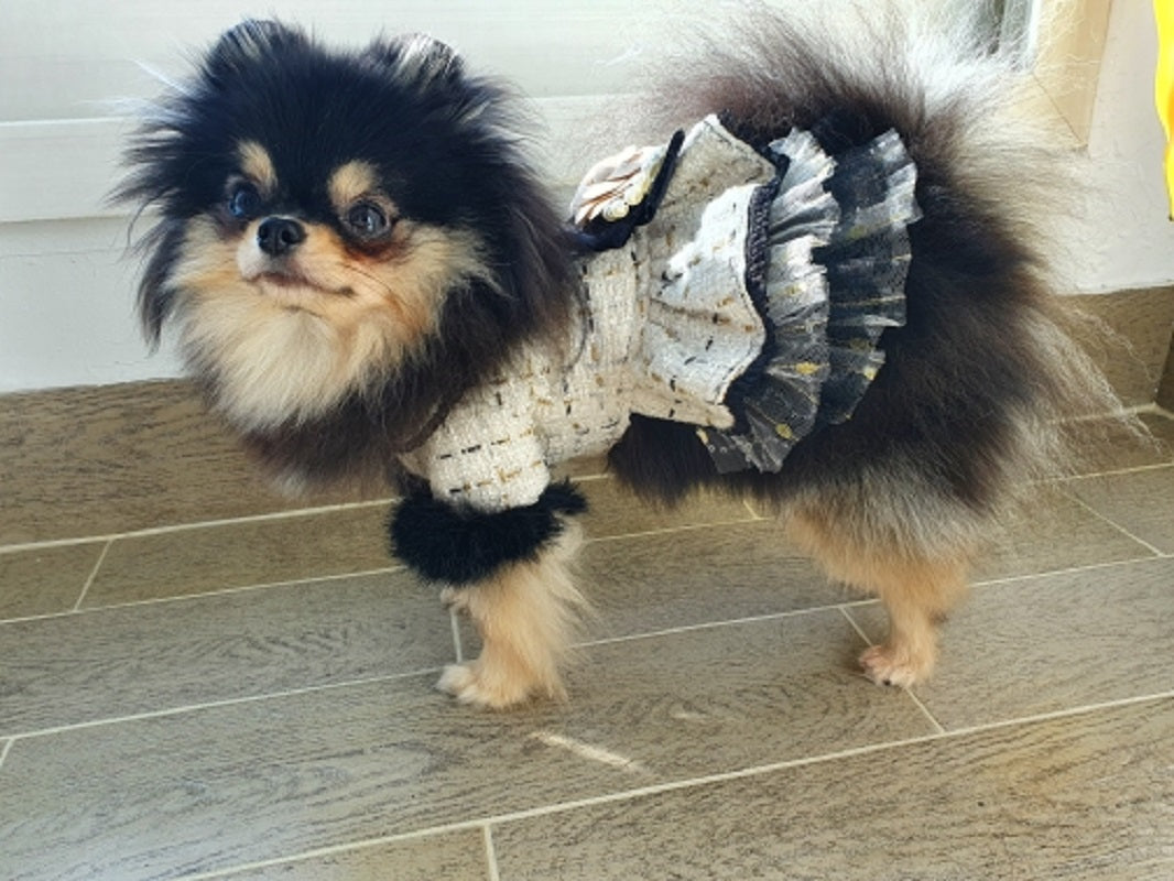 Luxury Tweed Dog Dress with Fur Trim