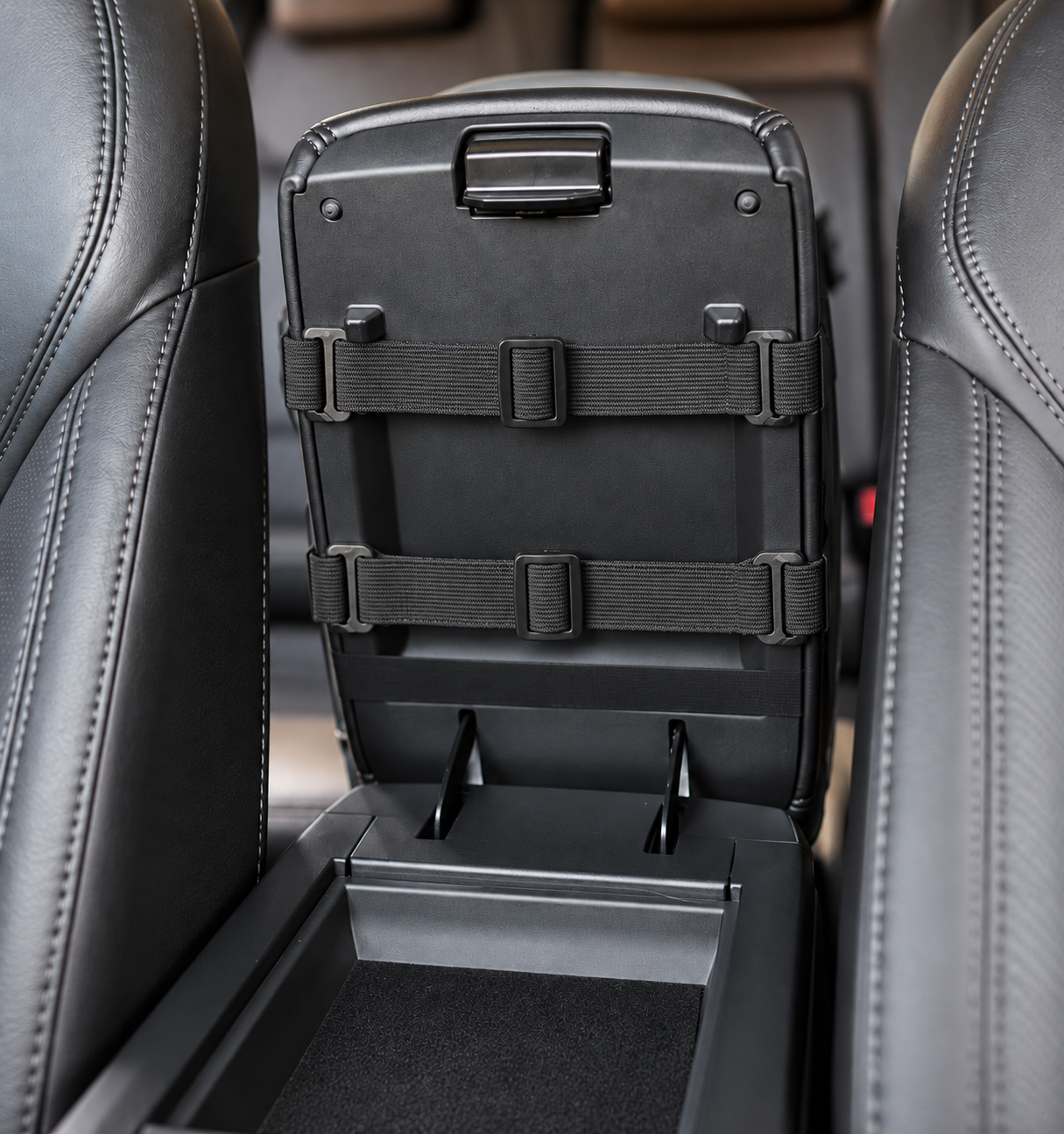 2-in-1 Pet Car Seat & Carrier