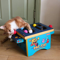 Thumbnail for cat playing with pac cat arcade game