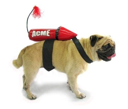 Acme Rocket Dog Costume