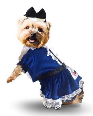 Alice Dog Dress Costume