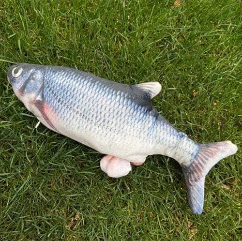 Animated Fish Toy