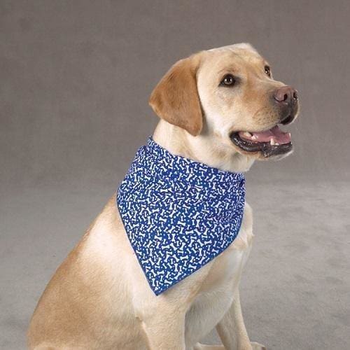 Aria Blue Ribbon Bone Dog Bandana