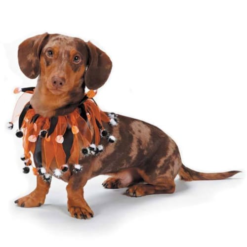 Aria Halloween Scrunchy-Pumpkin & Pompoms Party Dog Collar