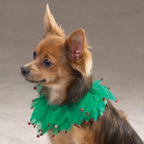 Aria Holiday Sparkle Scrunchie Dog Collar