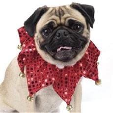 Aria Red Shimmer Scrunchie Dog Collar