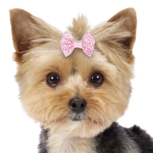 Aria Romy Dog Hair Bow
