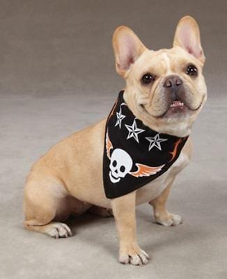 Aria Ruff N Tuff Dog Bandana