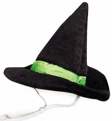 Aria Witch Hat for Pets