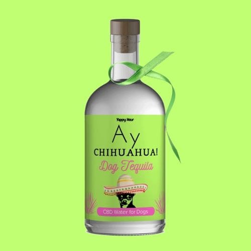 Ay Chihuahua! Dog Tequila