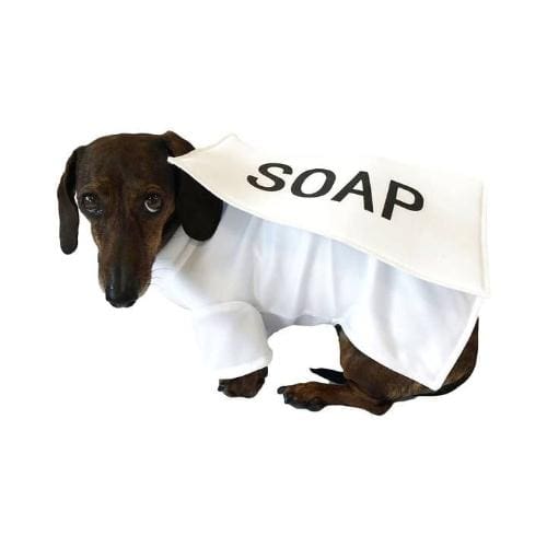 Bar of Soap Pet Costume