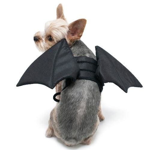 Bat Wings for Pets