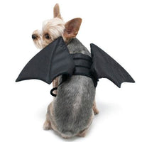 Thumbnail for Bat Wings for Pets