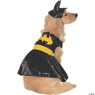 Batgirl Costume