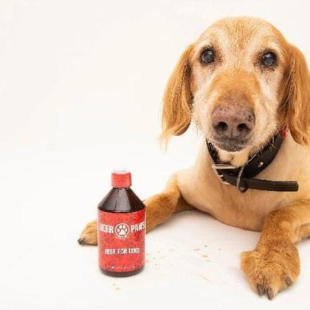 Beer Paws Dog Beverage