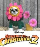 Beverly Hills Chihuahua 2 Flower Costume Posh Pet Glamour Boutique