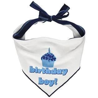 Birthday Boy Pet Bandana